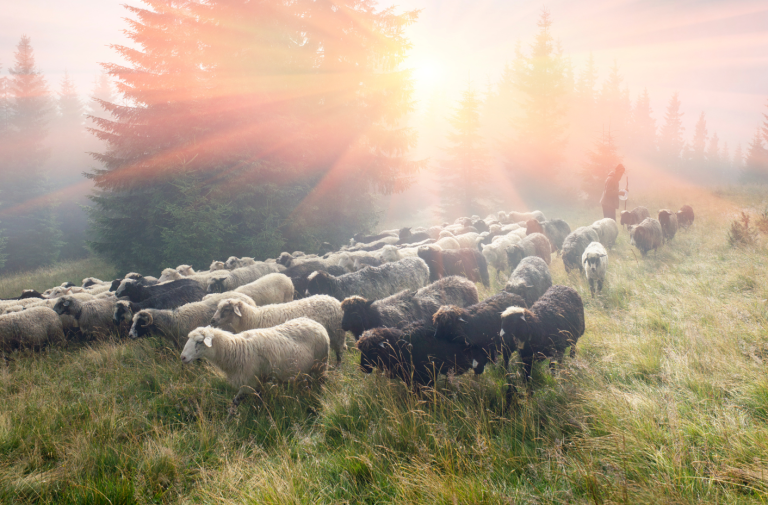 Overcoming Suffering & Surrendering to God: Part 2