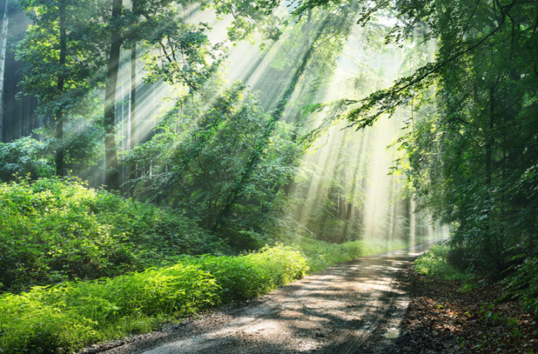 IHG October 2021 Care of the Spirit: Part 2