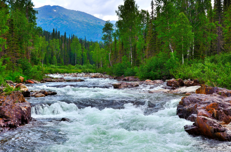 Part 1: “THE RIVER OF LIFE JOURNEY CENTER”