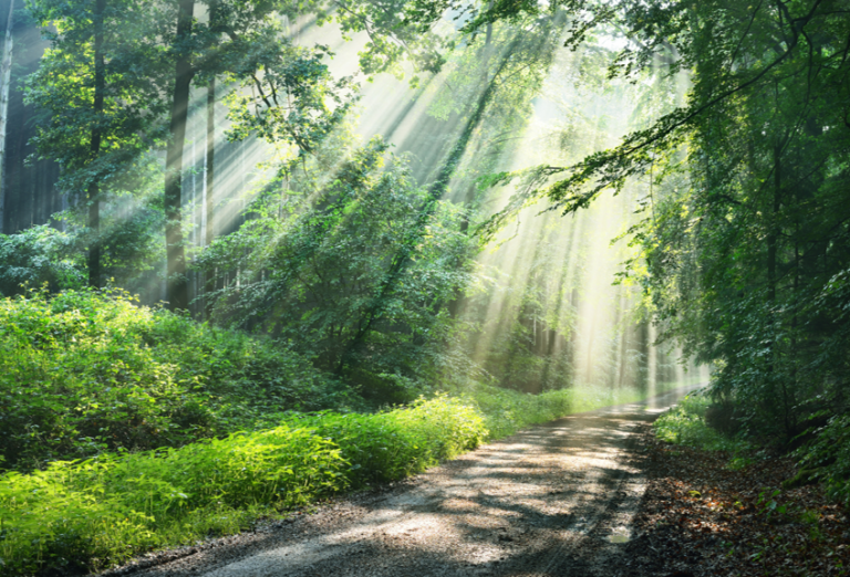 IHG October 2021 Care of the Spirit: Part 2